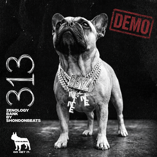Demo Zenology Bank  - 313 by Shondonbeats (Detroit x Flint x Rio Da Yung OG x Veeze)