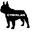 CTM GLOBAL logo