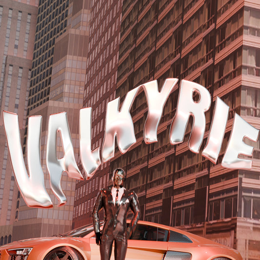 Valkyrie by Shondonbeats