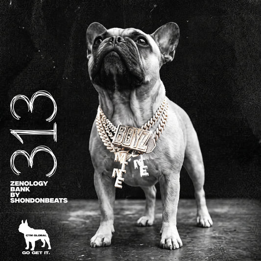 Zenology Bank  - 313 by Shondonbeats (Detroit x Flint x Rio Da Yung OG x Veeze)
